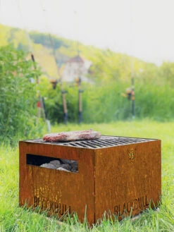 Holzkohlegrill BlackBull PiQoo -Brunner Verkäufe 186d393cef9de7025139d4a399db61d2